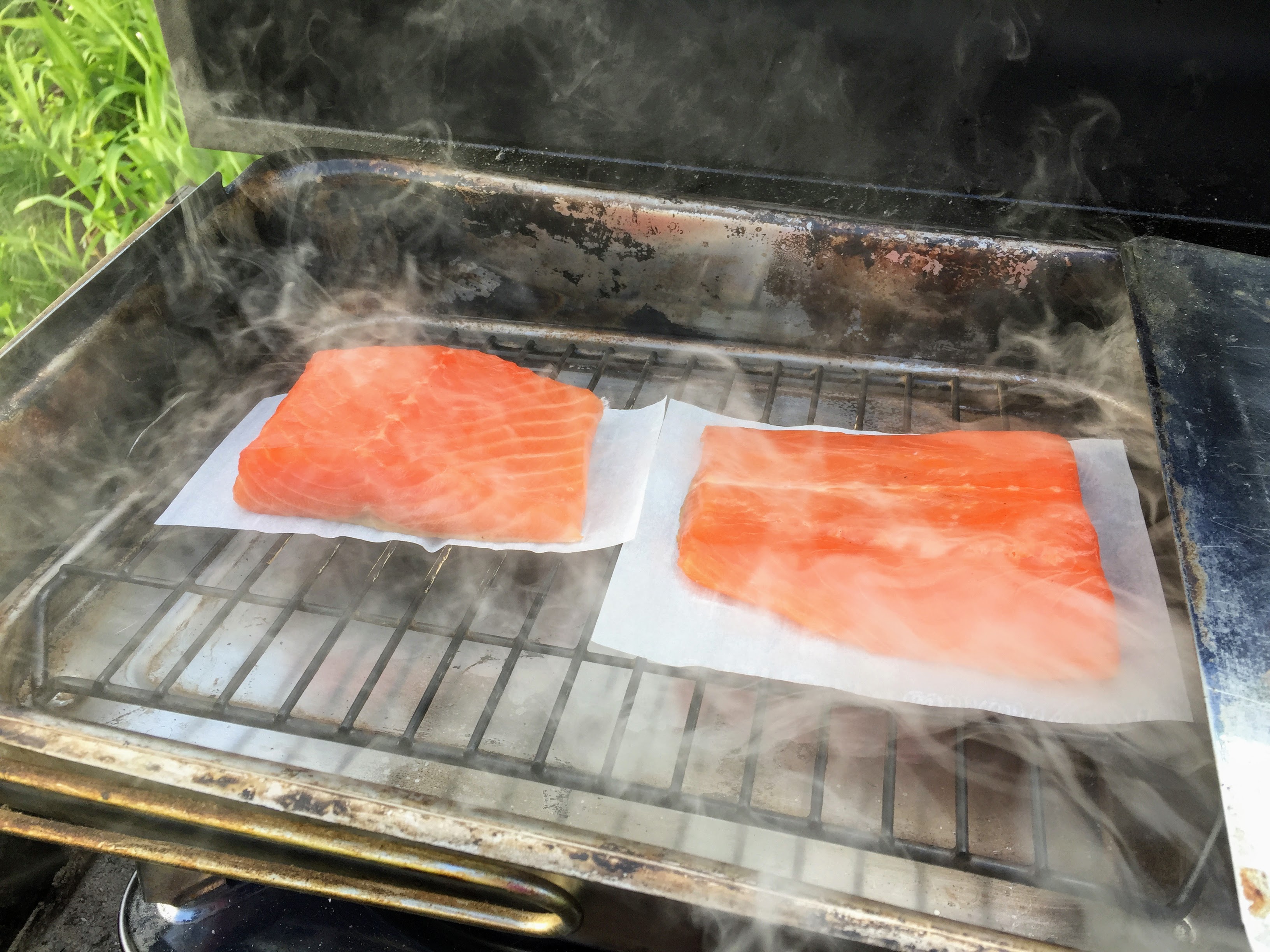 Where There s Smoke There s Salmon DIY Hot Smoked Salmon